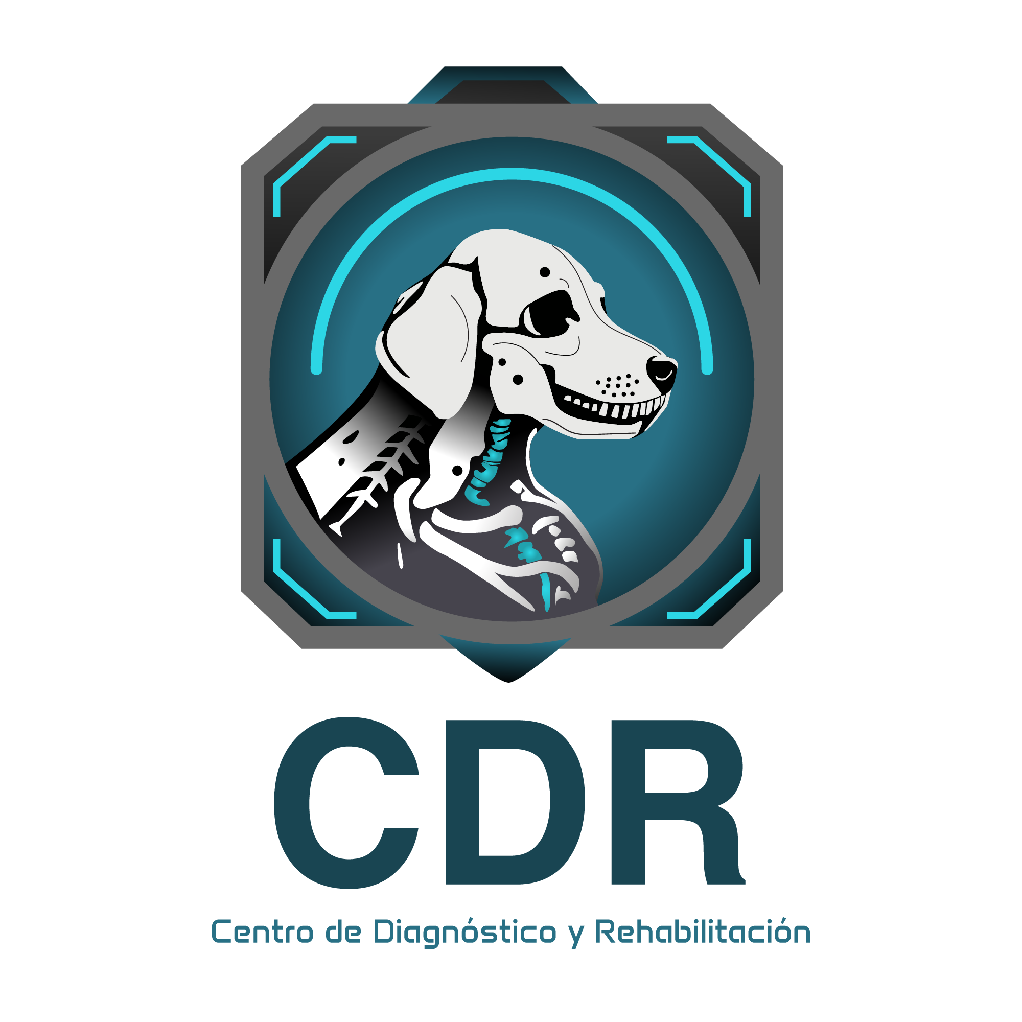 CDR - Centro de Diagnóstico y Rehabilitación Veterinaria