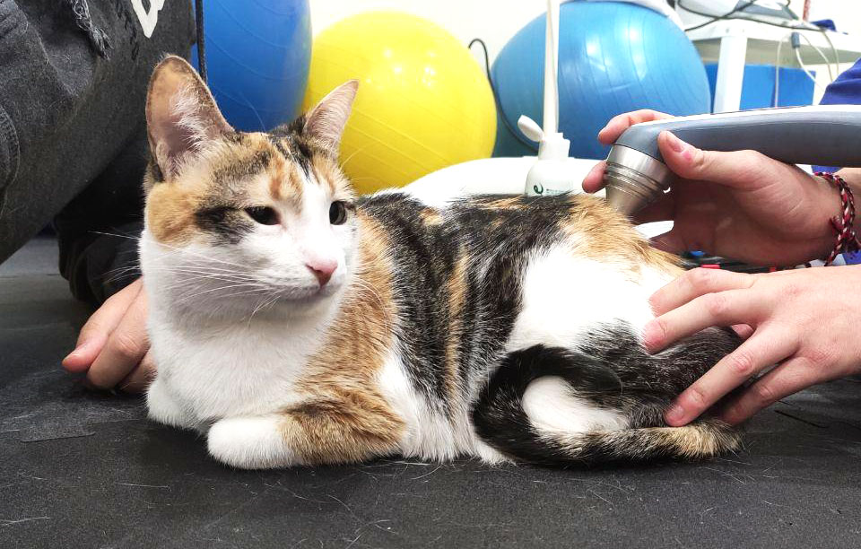 Beneficios de la terapia láser