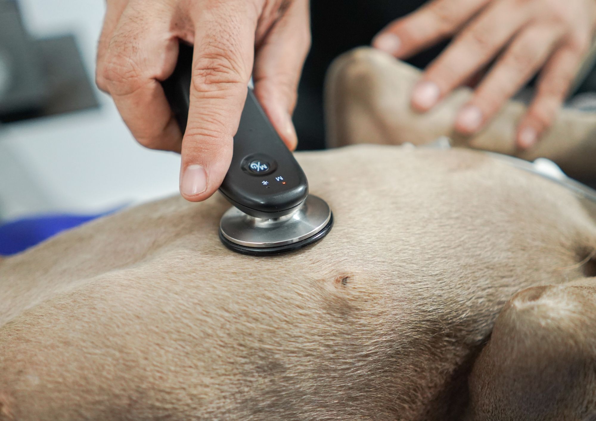 Control Medico Hector Bravo